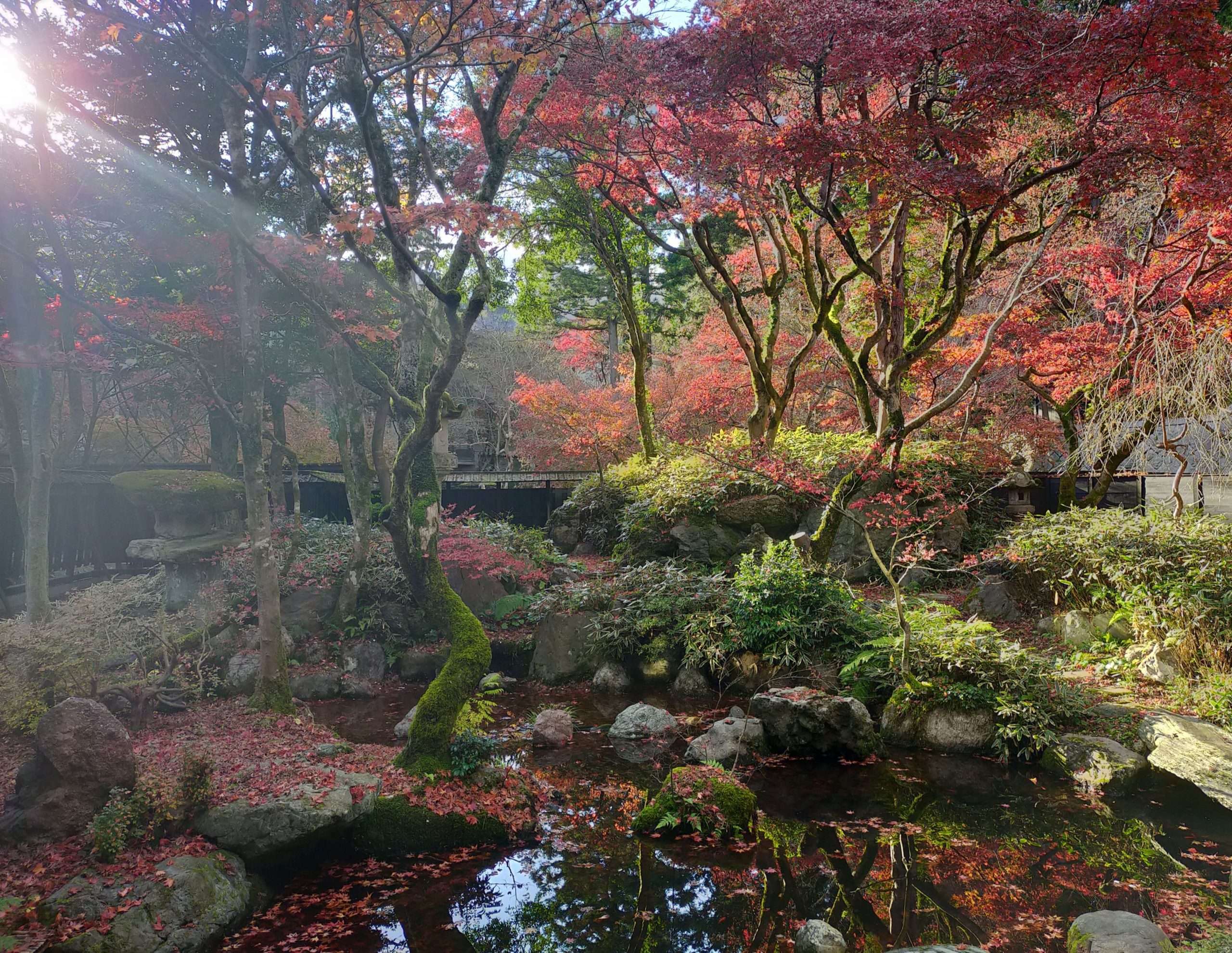 🏛️ 옛 나카니시 가 주택 (스이타 기시베 문인·묵객 영빈관) 이미지 6